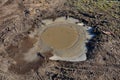 Puddles of muddy water on an oil path in the shape of an eye. frozen with a thin layer of ice. a classic attraction for stamping a