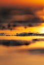 Puddles in the mudflap at low tide in the light of a sunset. Royalty Free Stock Photo