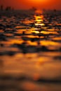 Puddles in the mudflap with people disappearing out of focus at sunset. Royalty Free Stock Photo