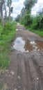 Puddles on the road caused by rain one day earlier