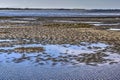 Puddles on a sandy beach Royalty Free Stock Photo