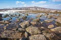 Puddles and stones on Putorana Plateau, Taimyr. Russia