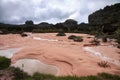 Puddles in unique pink sand of mount Roraima