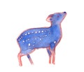 Pudu deer watercolor isolated on white Royalty Free Stock Photo
