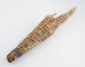 Pueblo Indian Sacred Smudge Stick.