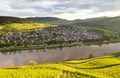 Puenderich on the Mosel Germany