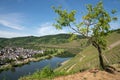 Puenderich, Moselle, Germany