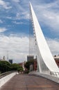 Puente de la Mujer Bridge Argentina