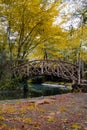 Puente de madera entre la naturaleza