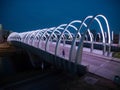 Puente del bicentenario, or bicentenary bridge