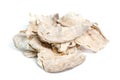 Pueraria mirifica, White Kwao Krua, Pueraria candollei Graham ex Royalty Free Stock Photo