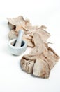 Pueraria mirifica or White Kwao Krua (Pueraria candollei Graham Royalty Free Stock Photo