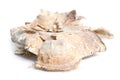 Pueraria mirifica or White Kwao Krua (Pueraria candollei Graham Royalty Free Stock Photo