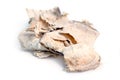 Pueraria mirifica or White Kwao Krua (Pueraria candollei Graham Royalty Free Stock Photo