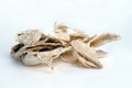 Pueraria mirifica or White Kwao Krua (Pueraria candollei Graham Royalty Free Stock Photo