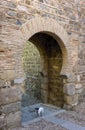 Puerta de Alcantara Gate. Toledo, Spain Royalty Free Stock Photo