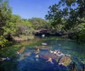 Puerto Adventuras , Quintana Roo, Mexico, March 2nd, 2023: Cenote Azul on a busy day