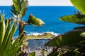 Puerto de la Cruz - Banana trees with Scenic view on Ocean Pool Piscina Natural de Laja de la Sal Royalty Free Stock Photo