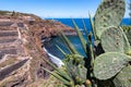 Puerto de la Cruz - Prickly pear cactus plant with view on Barraco de la Arena and shoreline of Tenerife