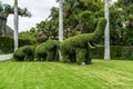 Topiary art. Elephants. The central entrance to the largest zoo and amusement park - Loro Parque
