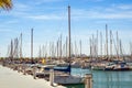 Puerto deportivo Marina Salinas. Yachts and boats in Marina