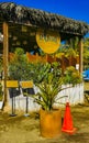 Colorful tourist street people stores restaurants bar La Punta Zicatela