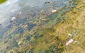 Dirty green polluted and garbage river in Puerto Escondido Mexico