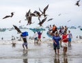 Puerto Lopez, Ecuador / Nov 26, 2012: Seagulls swarm around boat