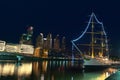 Puerto Madero at Night, Buenos Aires, Argentina. Royalty Free Stock Photo