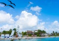 Puerto Morelos seaside view with sea, lighthouse, birds and boats. Caribbean sky with clouds. White sand shore. Background or wall