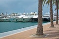 Luxury yachts in Puerto Portals marina Royalty Free Stock Photo