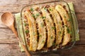 Puerto Rican food casserole Pastelon de Platano Maduro close-up in a baking dish. Horizontal top view