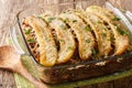 Puerto Rican food casserole Pastelon de Platano Maduro close-up in a baking dish. horizontal