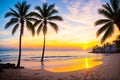 Puerto Vallarta sunset and palms. Royalty Free Stock Photo