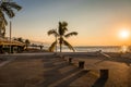 Puerto Vallarta sunset and palms - Puerto Vallarta, Jalisco, Mexico Royalty Free Stock Photo