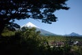 View of snow-covered peak of Osorno Volcano through trees branches