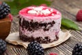 puff chocolate cake with berry filling Royalty Free Stock Photo