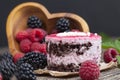 puff chocolate cake with berry filling Royalty Free Stock Photo