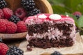 puff chocolate cake with berry filling Royalty Free Stock Photo