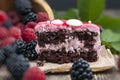 puff chocolate cake with berry filling Royalty Free Stock Photo