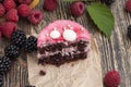 puff chocolate cake with berry filling Royalty Free Stock Photo