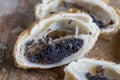 puff pastry bun made of wheat dough and poppy seed filling Royalty Free Stock Photo