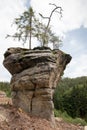 Puffball - Bizarre Rock Formation