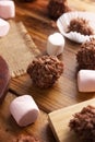 Puffed Rice Chocolate Treats Royalty Free Stock Photo