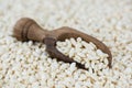 Puffed Rice (for use as background image) Royalty Free Stock Photo