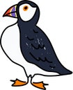 Puffin