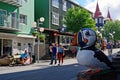 Puffin, Akureyri, Iceland