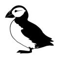 Puffin bird icon symbol Royalty Free Stock Photo