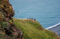 Puffin colony on a coastal cliff near their nests in the soil, aerial shot