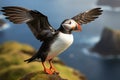 Puffin flying with open wings on a rock. Iceland. Atlantic Puffin or Common Puffin, Fratercula arctica, AI Generated Royalty Free Stock Photo